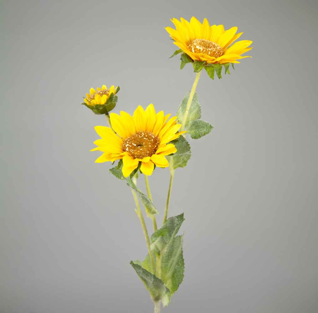 Изображение товара Подсолнух, 64см, желтый