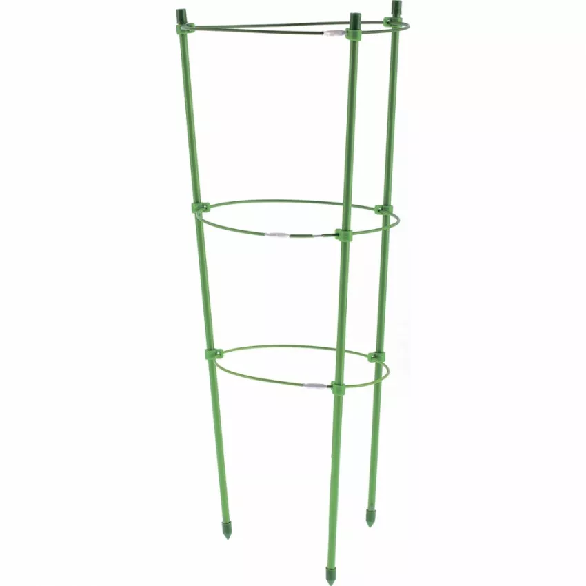 Изображение товара Поддержка для цветов 3 кольца 60см GREEN APPLE GFS-3-60