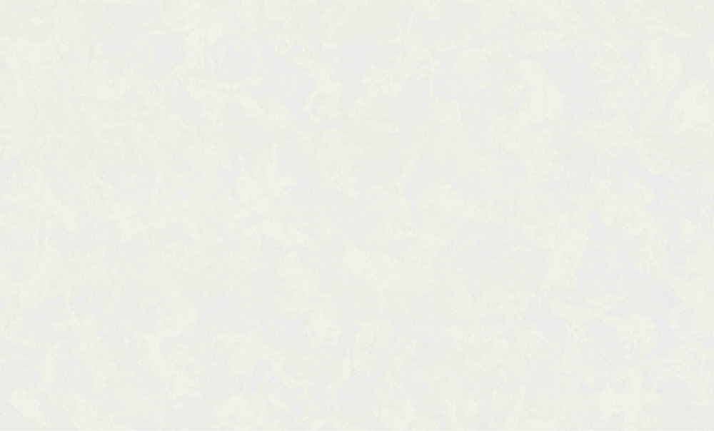 Изображение товара Обои MONTE SOLARO CEYLON винил/флизелин белые 1,06х10,05 м