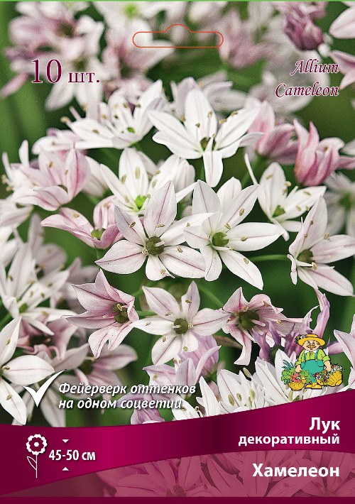 Изображение товара Лук декоративный Хамелеон в капере 10 шт.