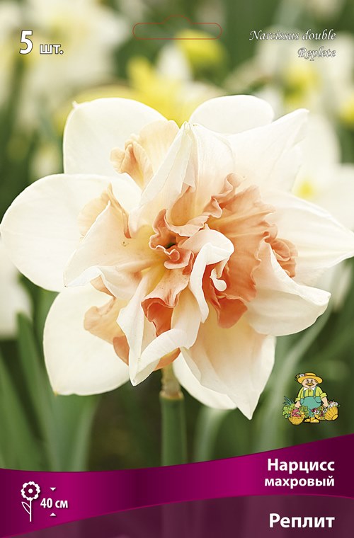 Изображение товара Нарцисс махровый Реплит 3 шт.