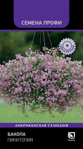 Изображение товара Семена Бакопа Пинктопия - красивое декоративное растение