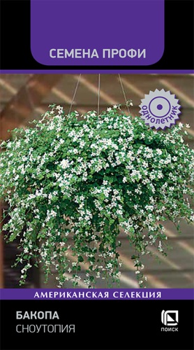 Изображение товара Семена бакопы сноутопия для яркого украшения дома и сада