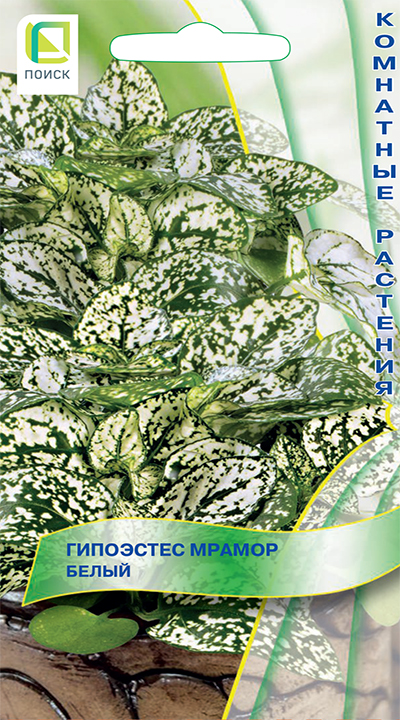 Изображение товара Семена Гипоэстес Мрамор Белый
