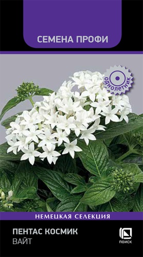 Изображение товара Семена Пентас Космик Вайт