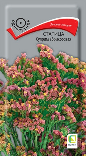 Изображение товара Семена Статица Суприм абрикосовая