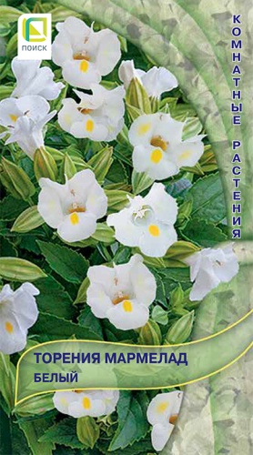 Изображение товара Семена Торения Мармелад Белый быстроцветущие декоративные цветы для сада и балкона