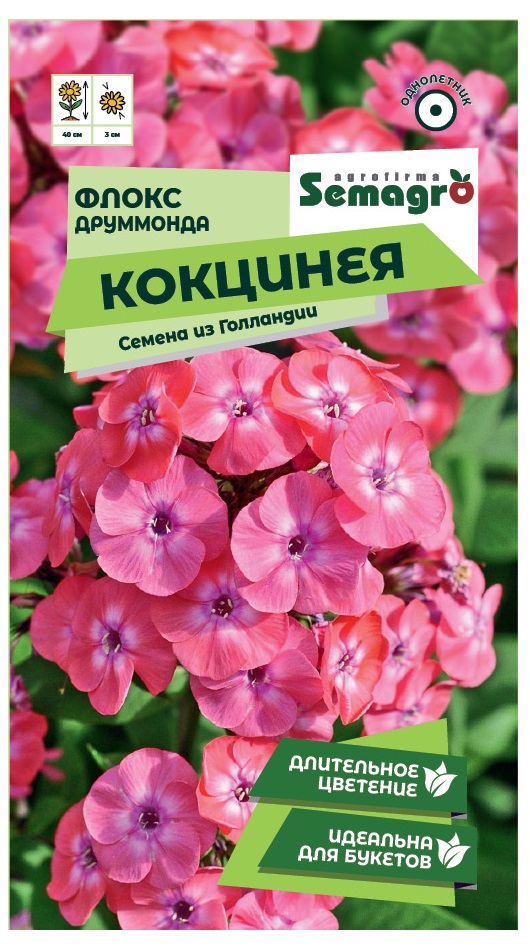 Изображение товара Семена Флокс SEMAGRO Друммонда Кокцинея 0,1 г