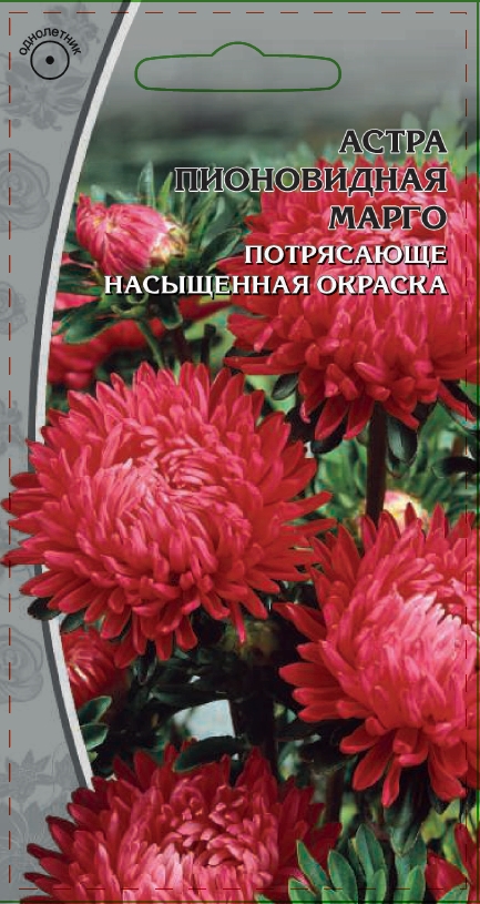 Изображение товара Семена Астра Марго 0,2 гр