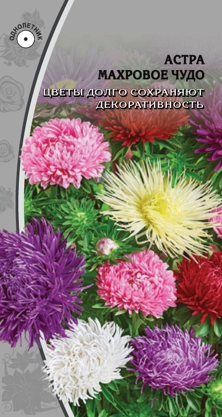 Изображение товара Семена Астра Махровое чудо 0,2гр
