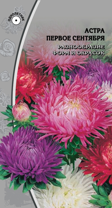Изображение товара Семена Астра Первое сентября 0,2 гр