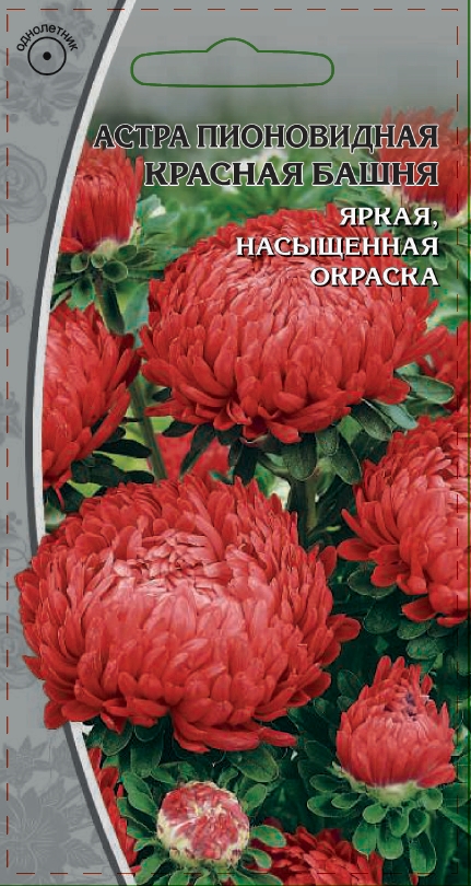 Изображение товара Семена Астра пионовидная   Красная  башня 0,2 гр