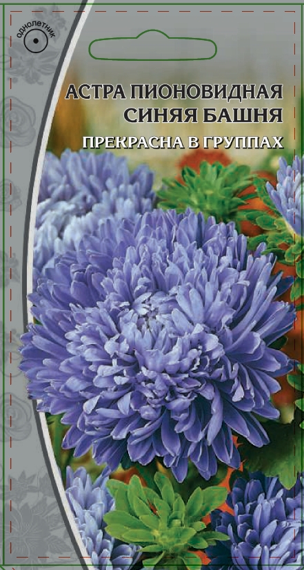 Изображение товара Семена Астра пионовидная   Синяя  башня 0,2г