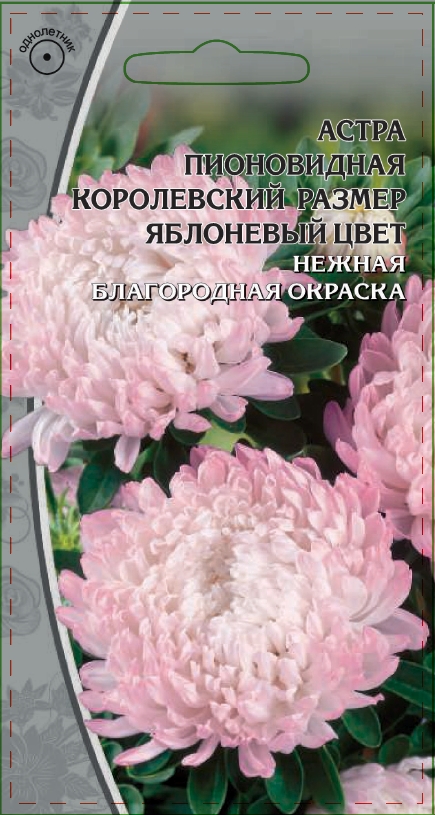 Изображение товара Семена Астра пионовидная  Королевский размер яблоневый цвет 0,2г