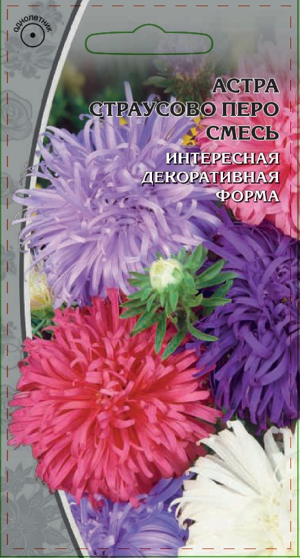 Изображение товара Семена Астра Страусово перо 0,2 гр