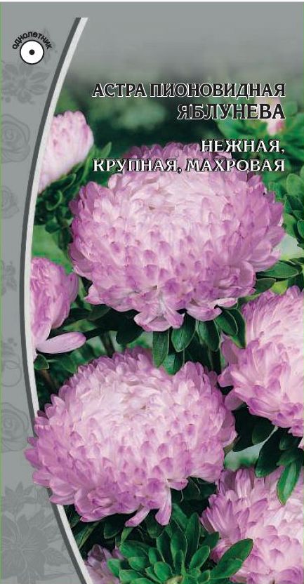 Изображение товара Семена Астра Яблунева 0,2 гр