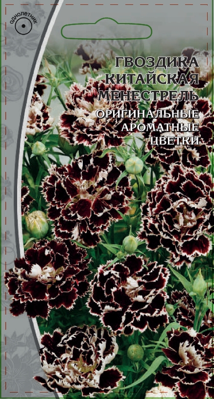 Изображение товара Семена Гвоздика китайская  Менестрель  0,05 гр