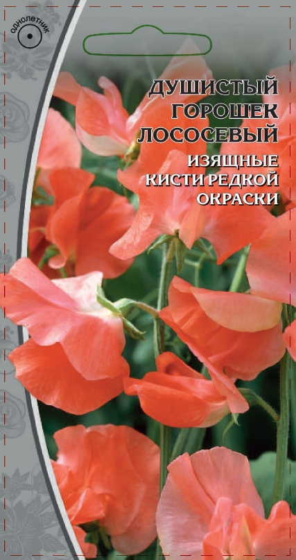 Изображение товара Семена Душистый горошек  Лососевый   0,5 г
