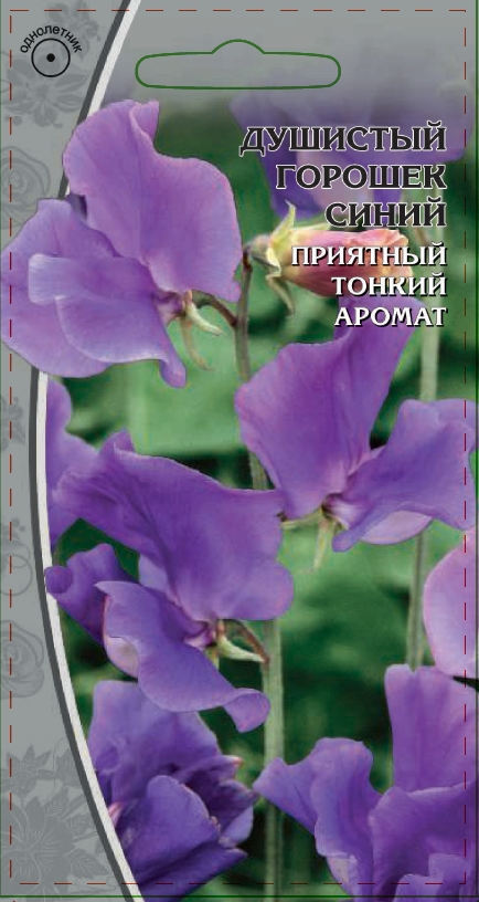 Изображение товара Семена Душистый горошек  Синий  0,5г