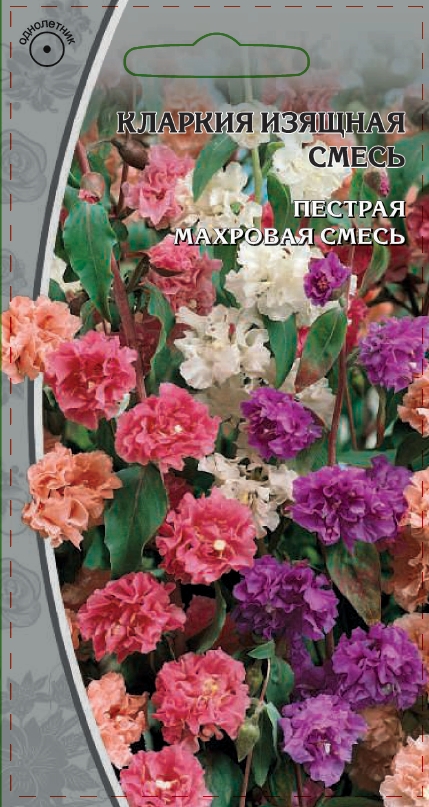 Изображение товара Семена Кларкия изящная  Смесь 0,2 гр