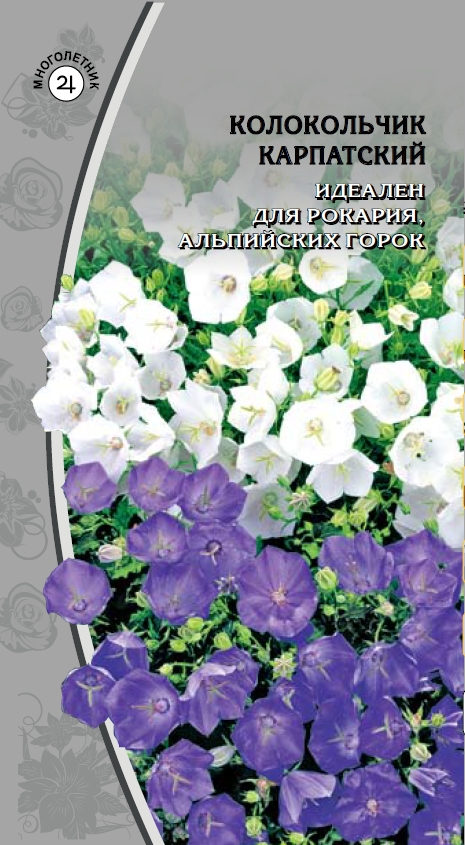 Изображение товара Семена Колокольчик Карпатский смесь 0,1 гр
