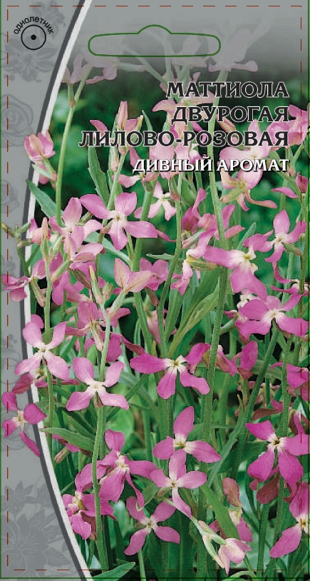 Изображение товара Семена Маттиола Двурогая Лилово-розовая 0,3 гр