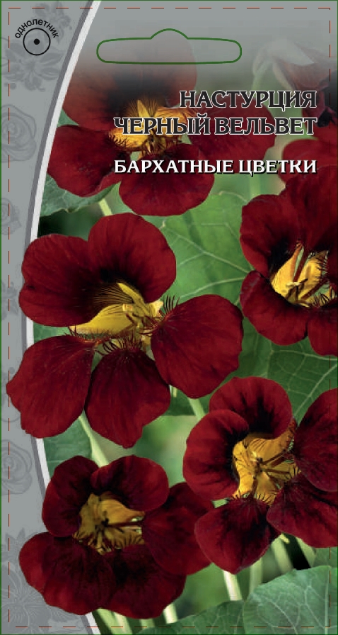 Изображение товара Семена Настурция Черный вельвет   1 гр
