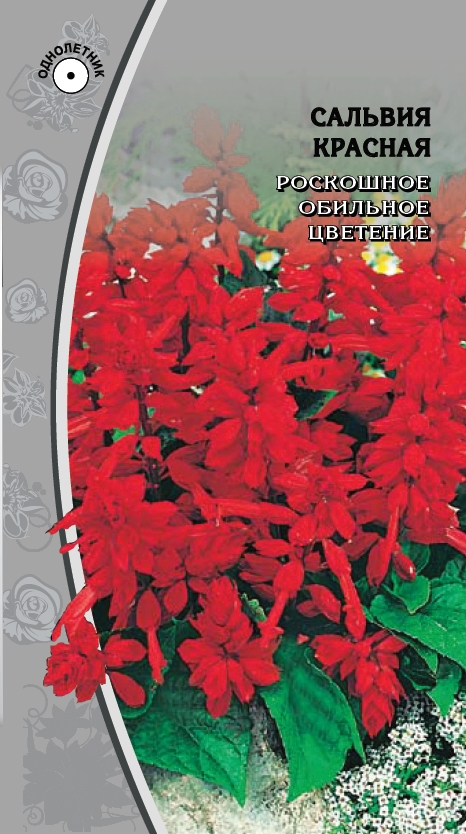 Изображение товара Семена Сальвия Красная 0,05 г