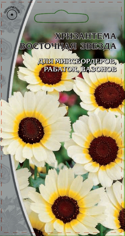 Изображение товара Семена Хризантема Восточная звезда 0,5г