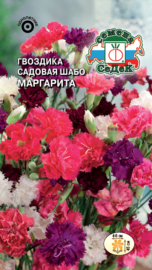 Изображение товара Семена цветок Гвоздика многоцветный