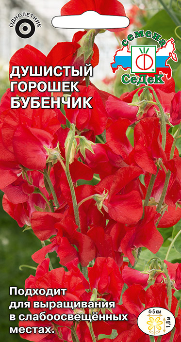 Изображение товара Семена цветок Душистый горошек