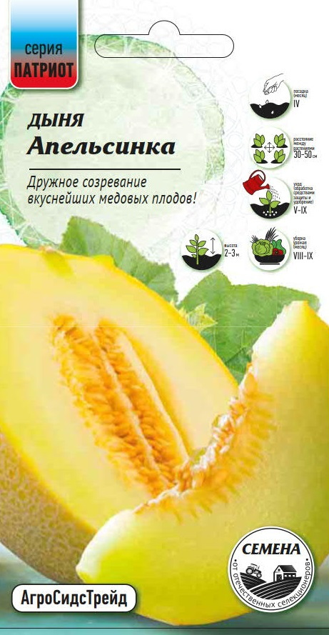 Изображение товара Семена Дыня Апельсинка 10 шт ПАТРИОТ