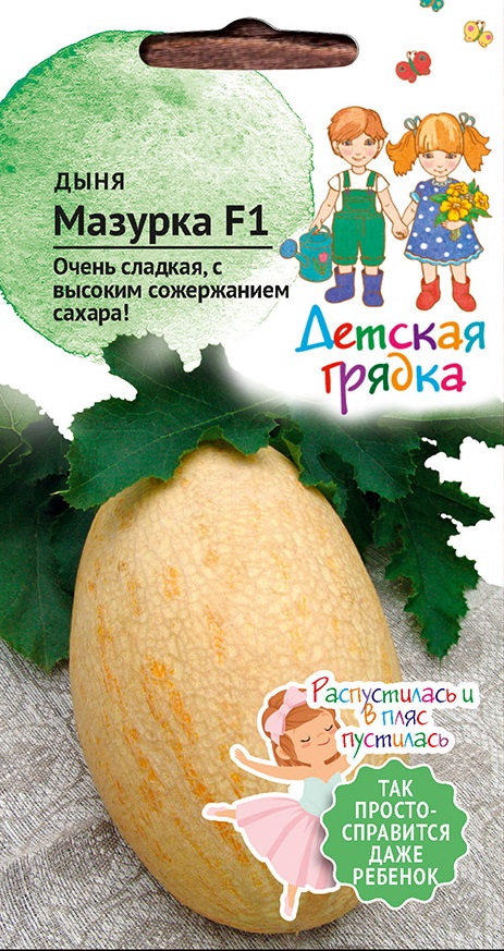 Изображение товара Семена дыни Мазурка F1 5 шт - среднеспелый гибрид для открытого и закрытого грунта