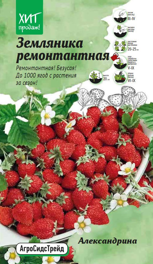Изображение товара Семена Земляника Александрина - ремонтантная АСТ