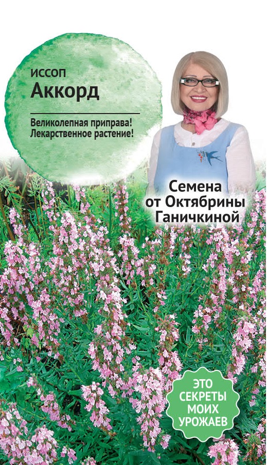Изображение товара Семена Иссоп лекарственный Аккорд АСТ