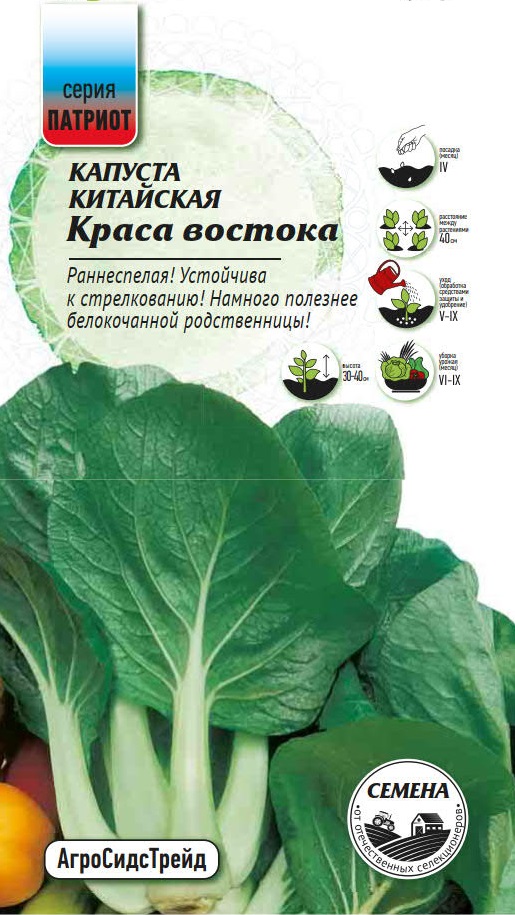 Изображение товара Семена Капуста китайская Краса востока ПАТРИОТ