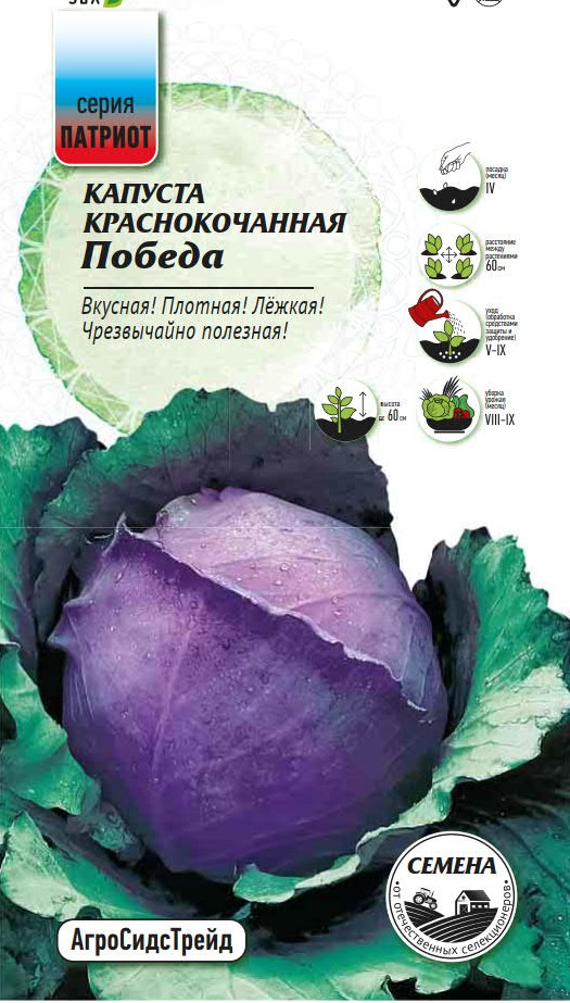 Изображение товара Семена Капуста краснокочанная Победа ПАТРИОТ