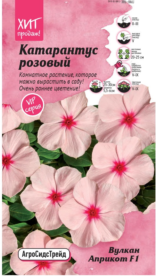 Изображение товара Семена Катарантус розовый Вулкан Априкот F1 5 шт - ранние цветы, устойчивость к болезням