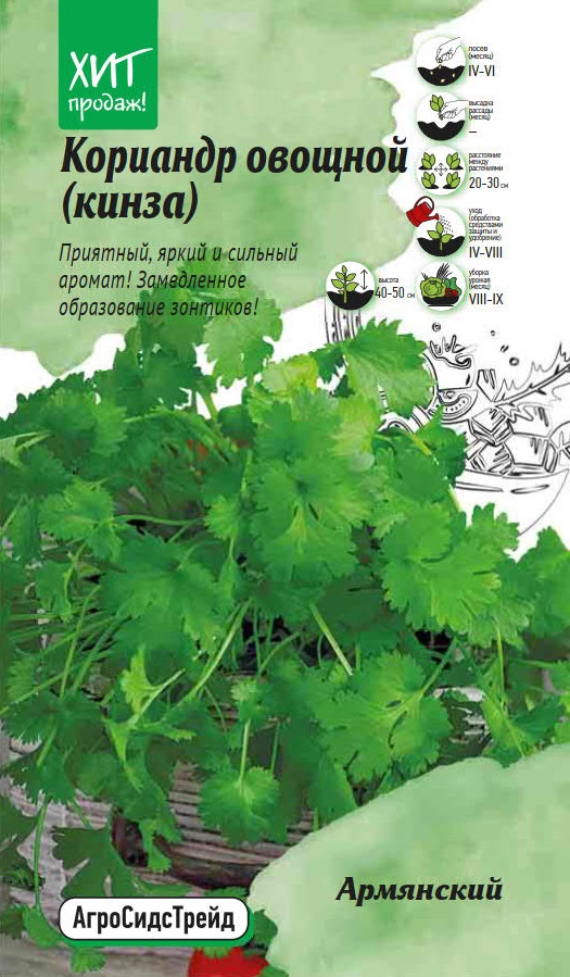 Изображение товара Семена Кориандр (кинза) Армянский АСТ