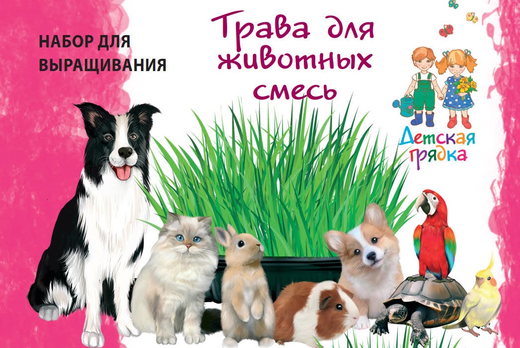 Изображение товара Семена Набор для выращивания "Трава для Животных смесь" Детская Грядка