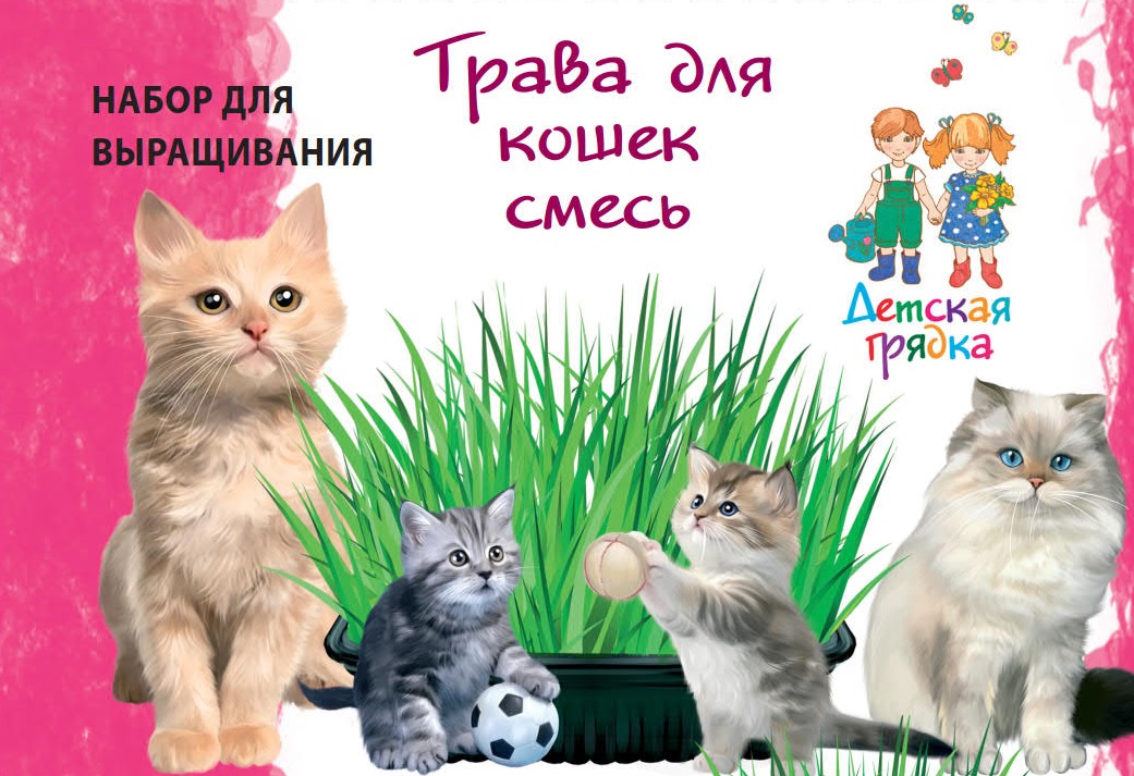 Изображение товара Набор для выращивания травы для кошек Смесь Детская Грядка с семенами и контейнером