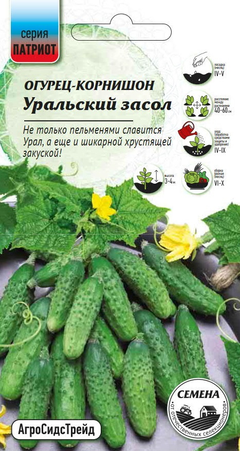 Изображение товара Семена Огурец Уральский засол - корнишон ПАТРИОТ