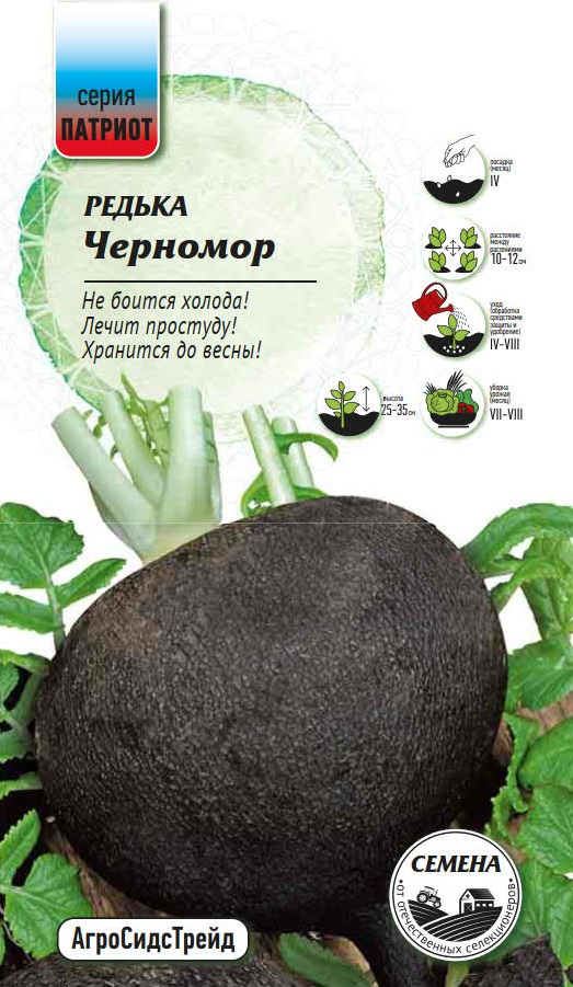 Изображение товара Семена Редька Черномор 1Г. ПАТРИОТ