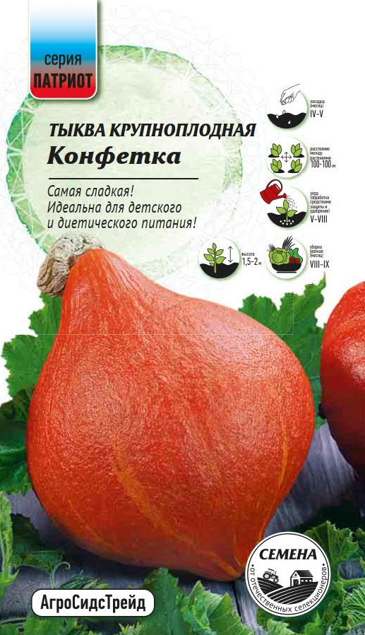 Изображение товара Семена Тыква Конфетка  ПАТРИОТ