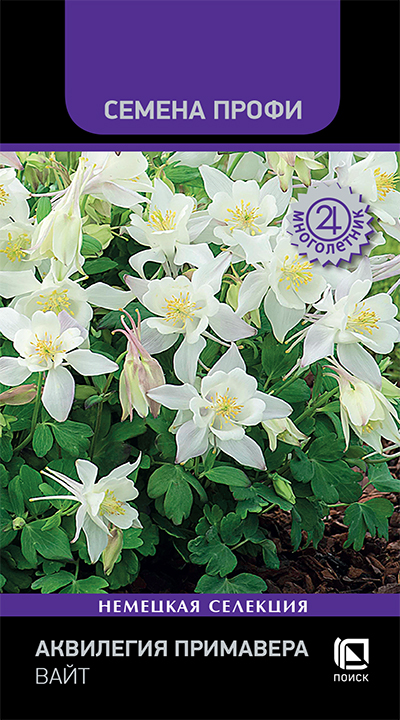 Изображение товара Семена Аквилегия Примавера Вайт 5шт