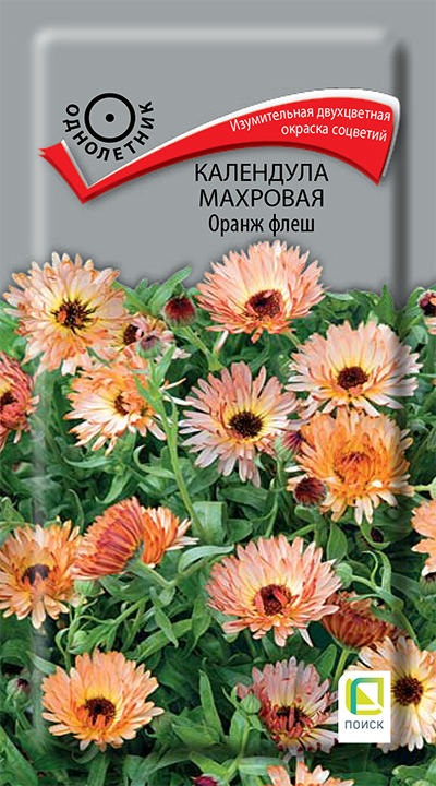 Изображение товара Семена Календула махровая Оранж флеш 0,1гр