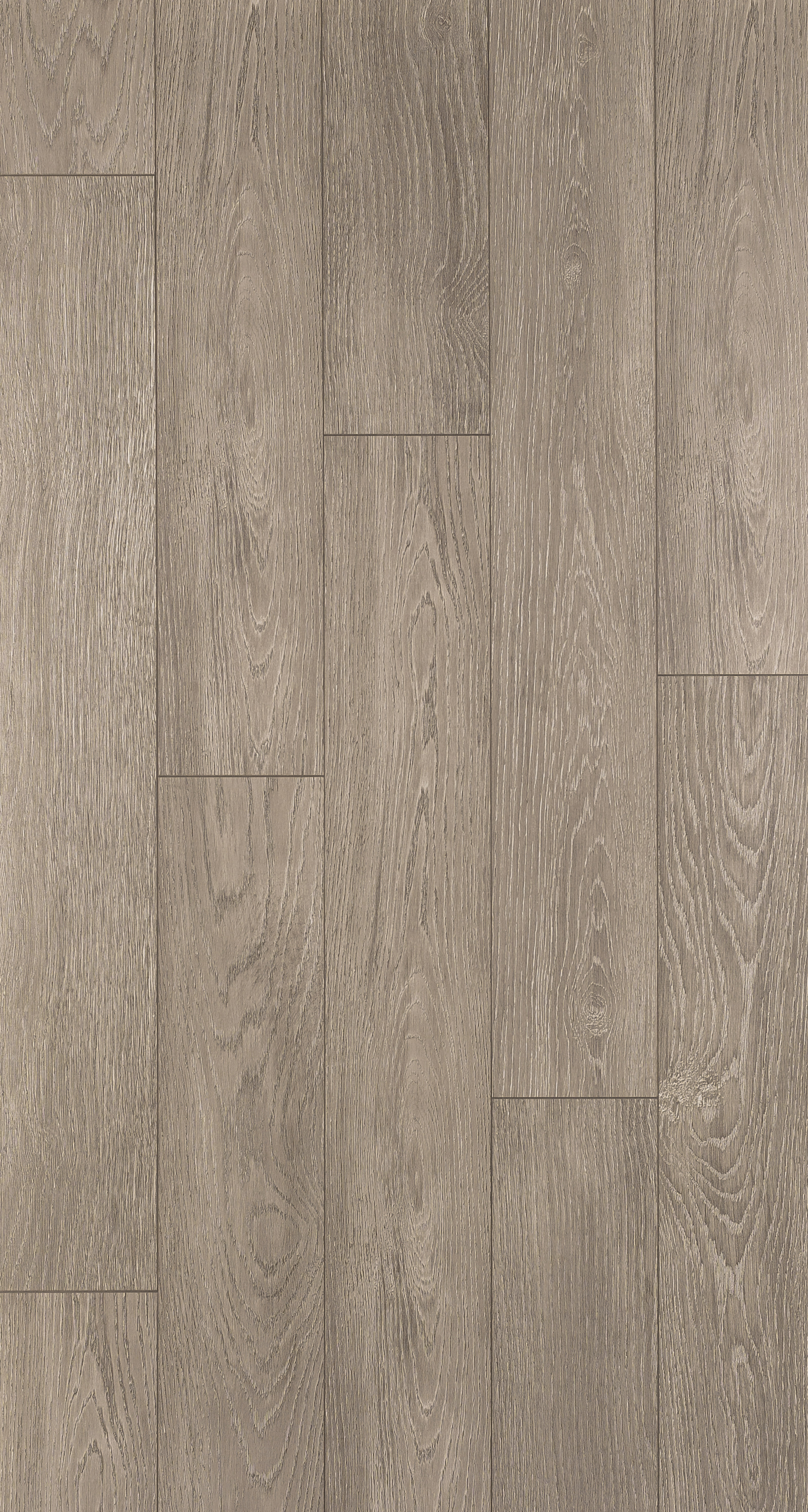 Изображение товара Ламинат EGGER HOME Дуб Кармона серый 33 класс 8 мм - 1,994 м²