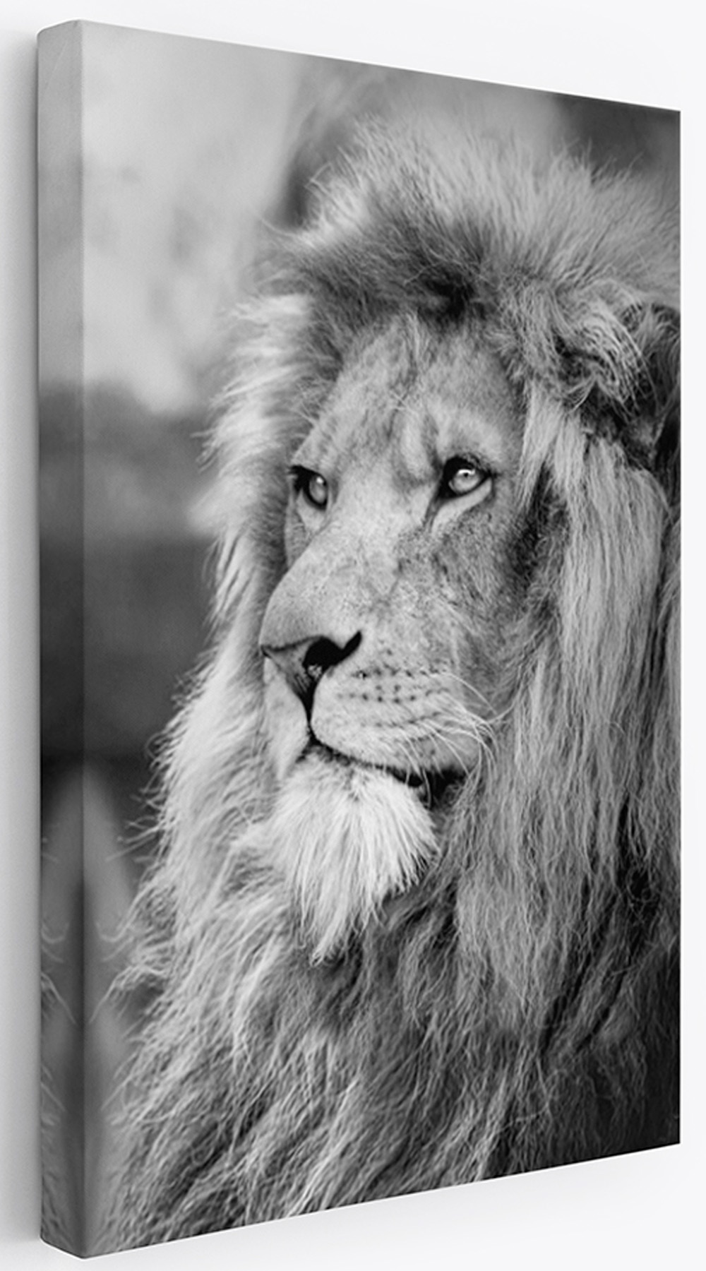 Изображение товара Картина Царь зверей от Симфонии на холсте
