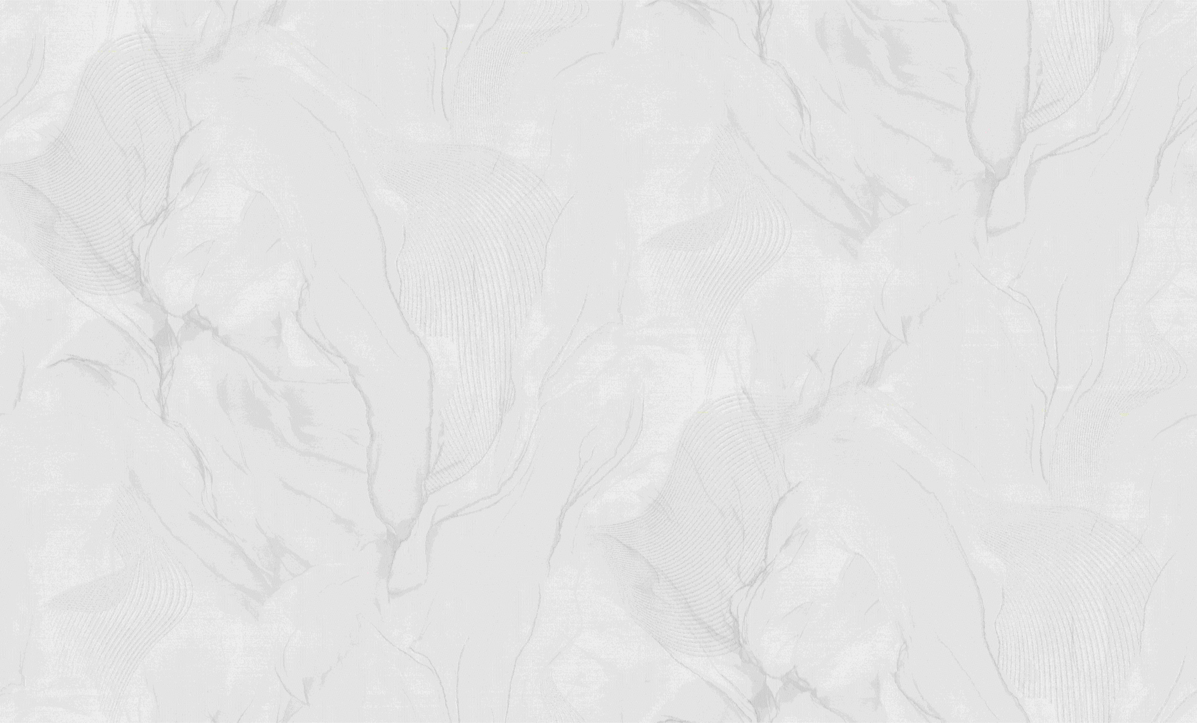 Изображение товара Обои ORNAMY EUPHORIA Винил/флиз 8077-00 белый 1,06Х10,05м