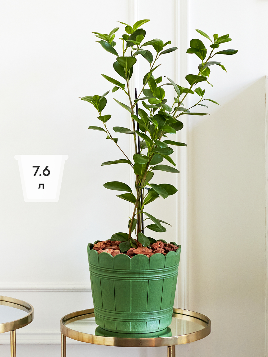 Изображение товара Кашпо для растений пластик 7,6 л. зеленый